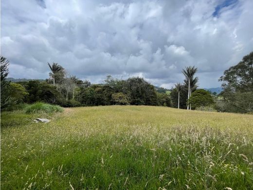 أرض ﻓﻲ Envigado, Departamento de Antioquia