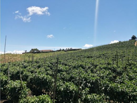 Terreno a Marinilla, Departamento de Antioquia