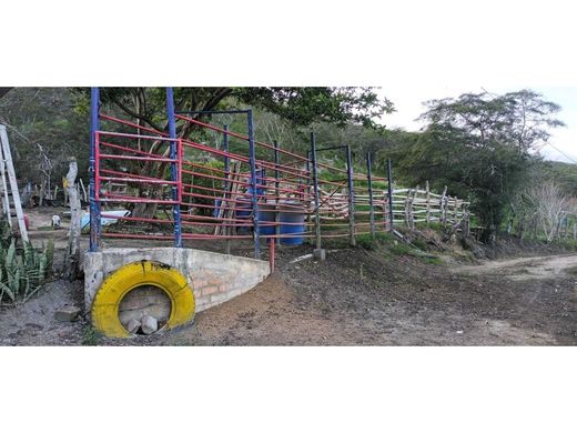 Rustico o casale a Roldanillo, Departamento del Valle del Cauca