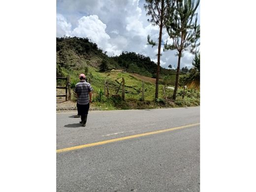 Concepción, Departamento de Antioquiaの土地