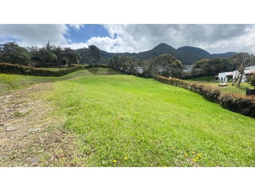 토지 / Carmen de Viboral, El Carmen de Viboral