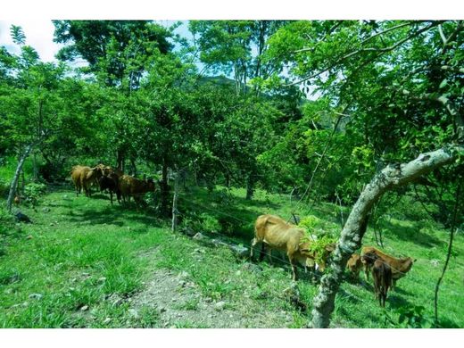 Farmhouse in Melgar, Departamento de Tolima