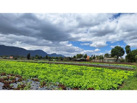 村舍/农舍  Tenjo, Departamento de Cundinamarca