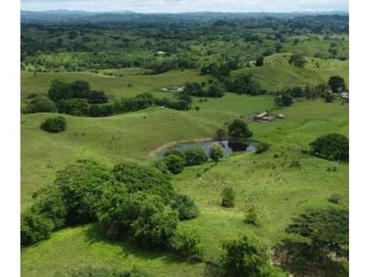 Ρουστίκ ή αγροικία σε Los Córdobas, Departamento de Córdoba