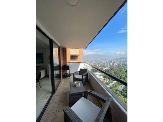 Daire Medellín, Departamento de Antioquia