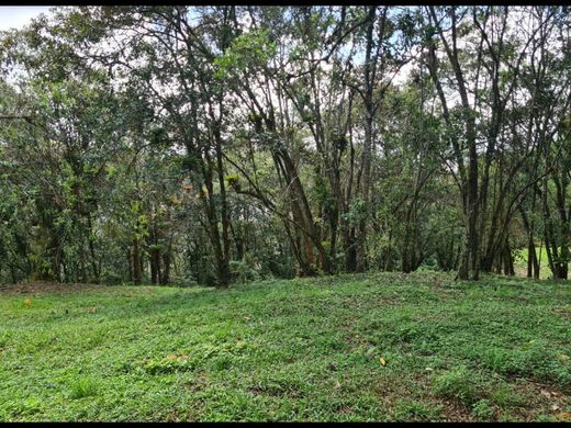 Grundstück in Rionegro, Departamento de Antioquia