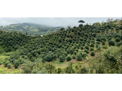 Terreno a El Peñol, Yarumal