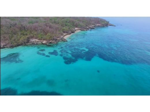 토지 / Cartagena, Cartagena de Indias