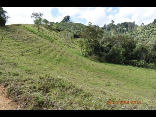 Land in Retiro, Departamento de Antioquia