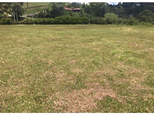 أرض ﻓﻲ Caldas, Departamento de Antioquia