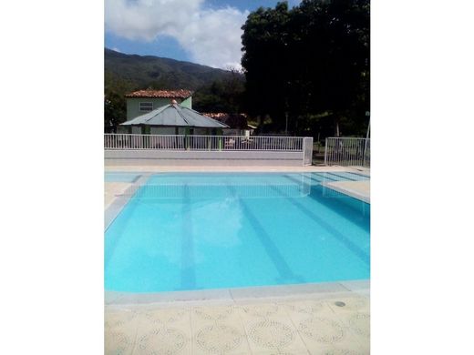 전원/농가 / Santa Fe de Antioquia, Santafé de Antioquia