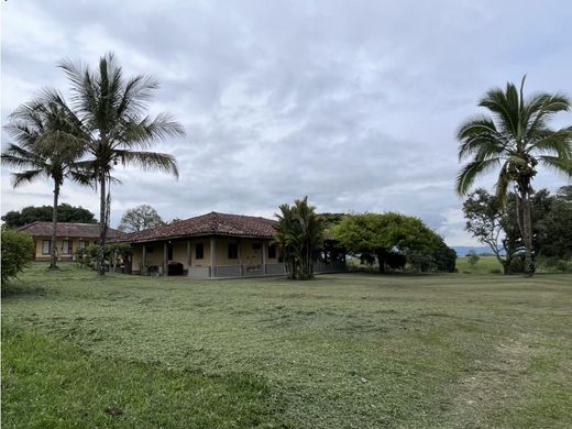 전원/농가 / La Tebaida, Quindío Department