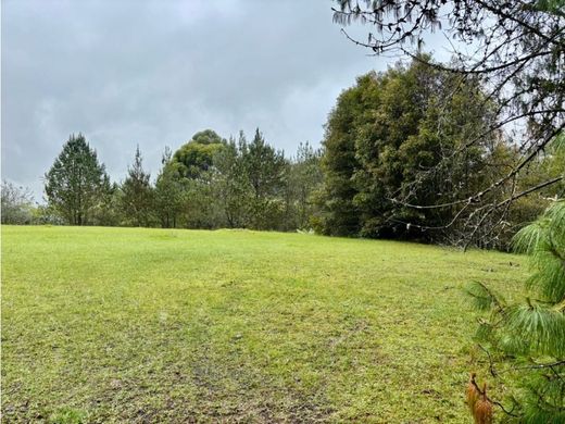 토지 / Rionegro, Departamento de Antioquia