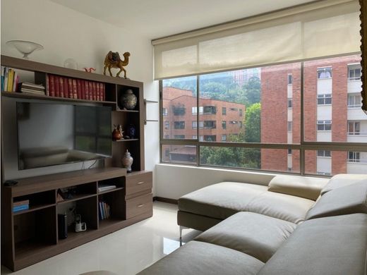 Daire Medellín, Departamento de Antioquia