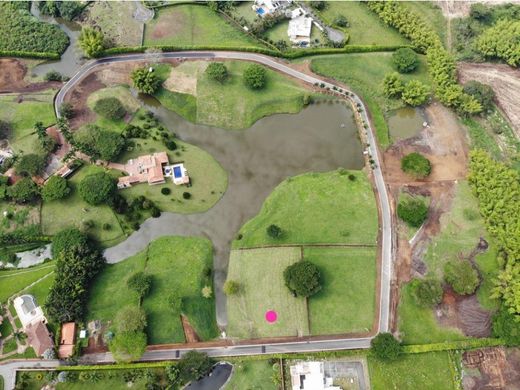 Arsa Pereira, Departamento de Risaralda