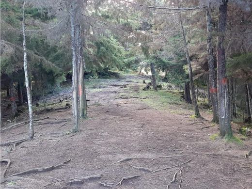 Terreno - Rionegro, Departamento de Antioquia