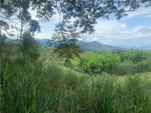 Land in Anserma, Guática