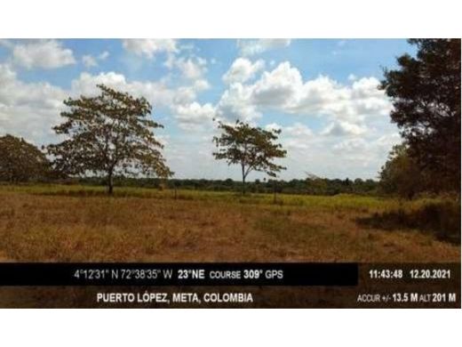 ﻣﻨﺰﻝ ﺭﻳﻔﻲ/ ﺑﻴﺖ ﻤﺰﺭﻋﺔ ﻓﻲ Puerto López, Departamento del Meta