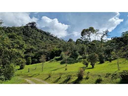 Grundstück in Rionegro, Departamento de Antioquia