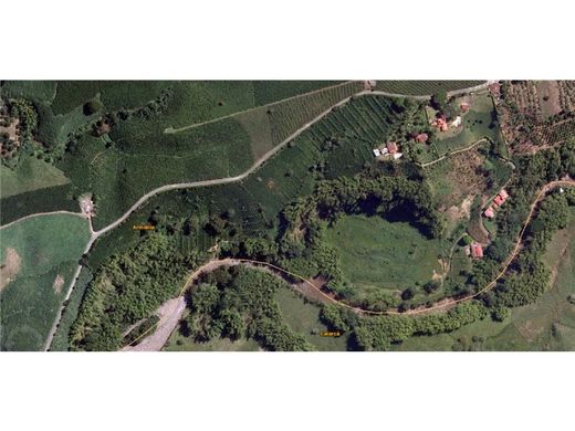 Arsa Armenia, Quindío Department