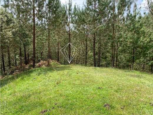 Αγροτεμάχιο σε Carmen de Viboral, El Carmen de Viboral