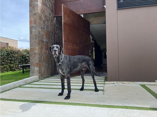 Загородный Дом, Urrao, Departamento de Antioquia