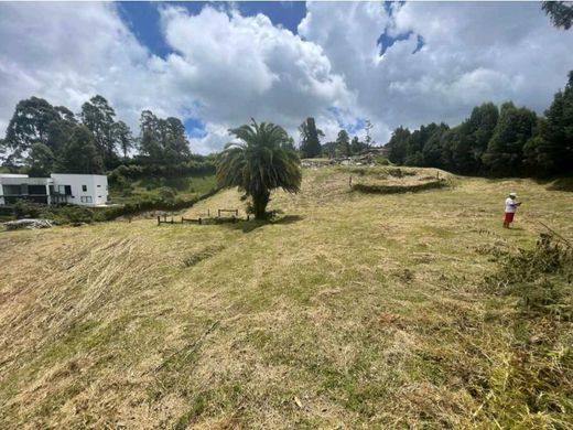 Teren w Envigado, Departamento de Antioquia