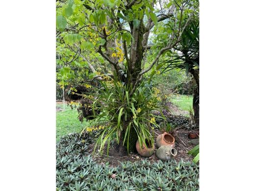 Cali, Departamento del Valle del Caucaの高級住宅