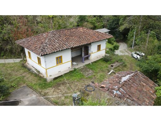 Rustik ya da çiftlik Calarcá, Calarca