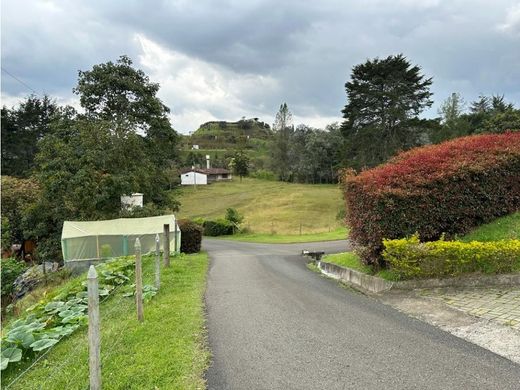 컨트리하우스 / 메데인, Medellín