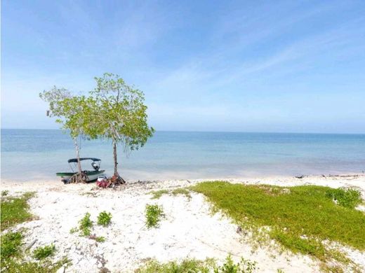 Участок, Картахена, Cartagena de Indias