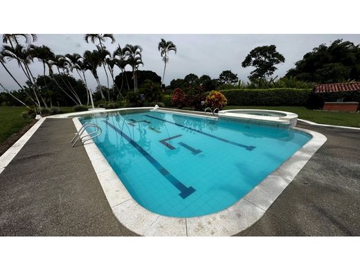 Ferme à Pereira, Departamento de Risaralda