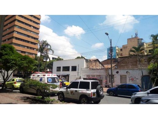 토지 / Cali, Departamento del Valle del Cauca