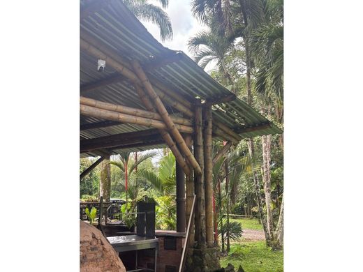 Rustico o casale a Cumaral, Departamento del Meta