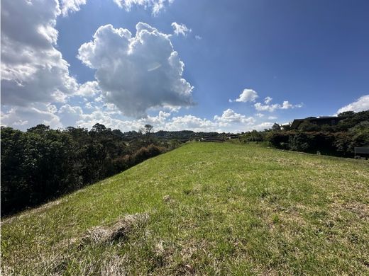 Arsa Envigado, Departamento de Antioquia
