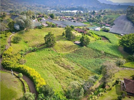 Grundstück in Carmen de Viboral, El Carmen de Viboral