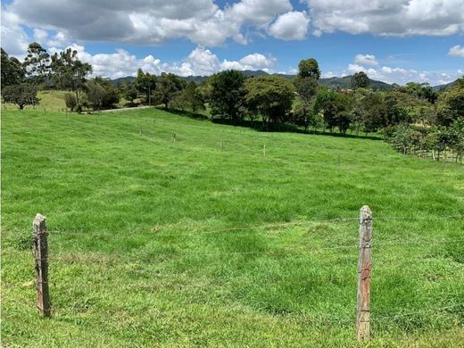 Grundstück in Retiro, Departamento de Antioquia