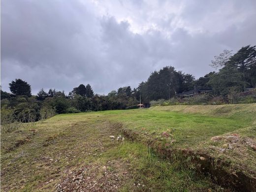 Arsa Envigado, Departamento de Antioquia