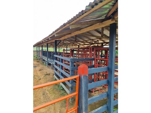 Ρουστίκ ή αγροικία σε Caracolí, Departamento de Antioquia