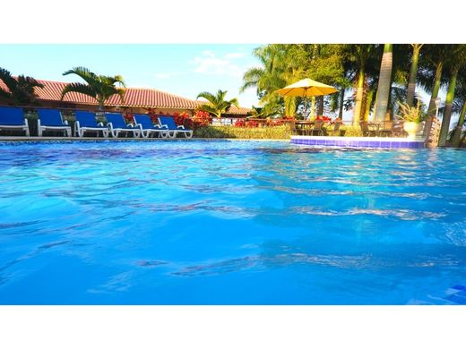 Гостиница, Palestina, Departamento de Caldas