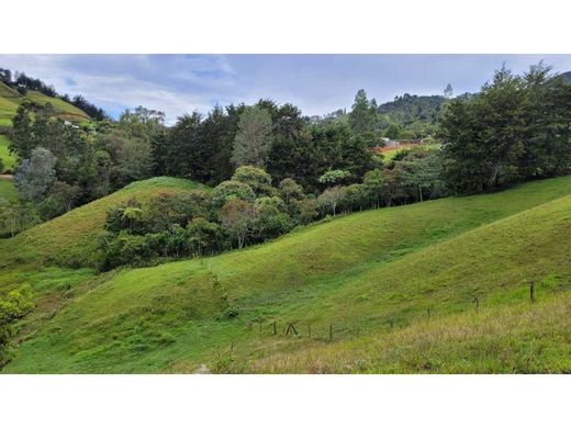 Grundstück in Rionegro, Departamento de Antioquia