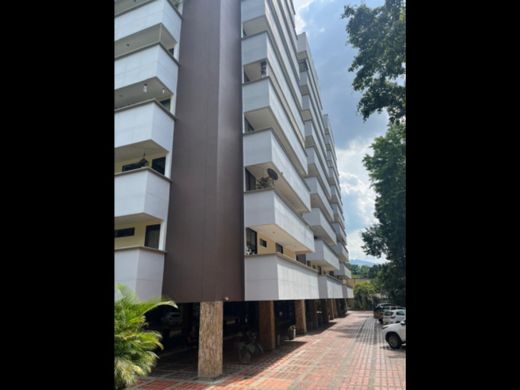Daire Medellín, Departamento de Antioquia