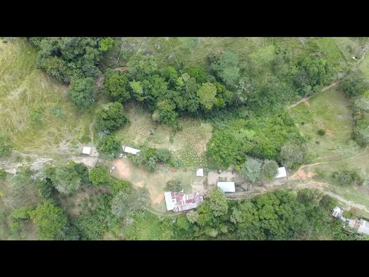 Ferme à Maceo, Departamento de Antioquia