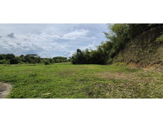 토지 / Pereira, Departamento de Risaralda