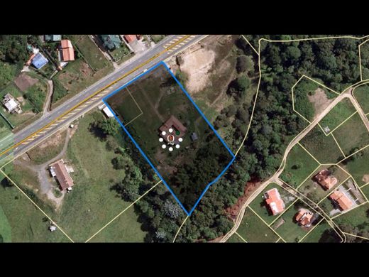 토지 / Salento, Quindío Department