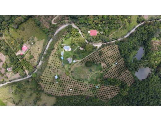 村舍/农舍  Pacho, Departamento de Cundinamarca
