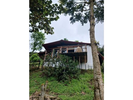 Farmhouse in Pereira, Departamento de Risaralda