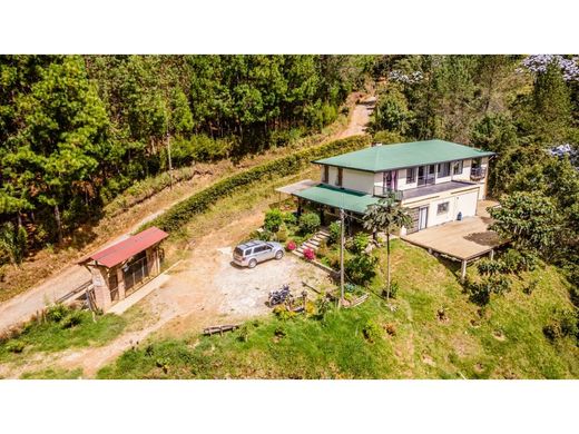 Rustik ya da çiftlik Guarne, Departamento de Antioquia