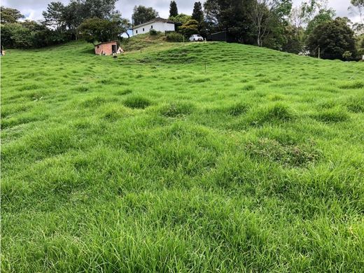 Terreno en Carmen de Viboral, El Carmen de Viboral