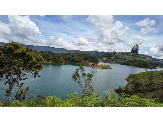 ‏קרקע ב  El Peñol, Yarumal